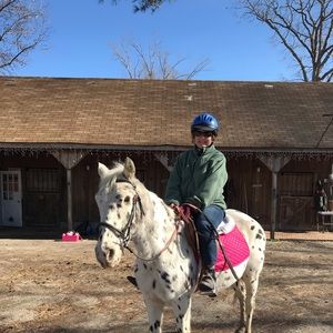 Meet your Posher, Sandy